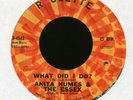ANITA HUMES & THE ESSEX What Did I Do on Roulette Northern Soul 45 Hear