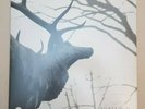Agalloch ?– The Mantle white
