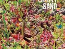 Giant Sand-Returns To Valley Of Rain VINYL NEW