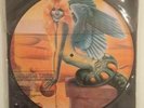 ? LP 1979 RARE DISCO Amanda Lear NEVER TRUST A PRETTY FACE  Picture Disc NM MB ?