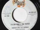 HAROLD & THE CASUALS-YOU CAN SHAKE A TAIL FEATHER ON SCOTTY NORTHERN 45-HEAR