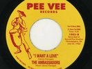 The Ambassadors - I Want A Love / Those Things Called Girls-Pee Vee 45 rpm-1966