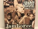 Naughty By Nature ft. Zhane Jamboree Record Vinyl Arista Promo Rap Hip Hop 1999
