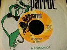 The ZOMBIES She's Not There VERY RARE 1964 U.S. DISC JOCKEY RADIO PROMO 45  Hear