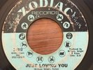RUBY ANDREWS - Just Loving You / The Love I Need - ZODIAC - Soul Funk - Hear