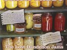 Stack Waddy-The Lost Dandelion Jams VINYL NEW