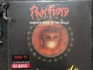 Pink Floyd, Another Brick In The Wall 2, Live.