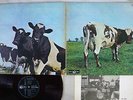 PINK FLOYD ATOM HEART MOTHER EMI/ODEON OP 80102 Japan RED VINYL VINYL LP