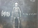 Gojira “The Way Of All Flesh” 2xLP Purple Vinyl 1st press Meshuggah Lamb Of God