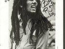 REGGAE LP - BOB MARLEY & WAILERS 