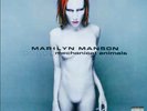 RARE MARILYN MANSON MECHANICAL ANIMALS 2x12” LP BLUE & WHITE VINYL 1998 USA