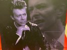 David Bowie LP Argentina 90 Clear Vinyl 1990 Rare Live Fame China Girl Blue Jean