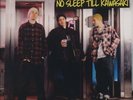Beastie Boys No Sleep Till Kawasaki LP   Japan   Ltd Ed of 500   Brand New