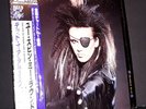 DEAD OR ALIVE 12
