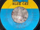 The Ad Libs - Johnny My Boy - Blue Cat Northern Soul 45