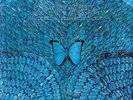 Santana - Borboletta (180g) (Limited-Edition) -   - (Vinyl / Pop (Vinyl))