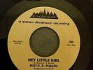 MISS D.D. PHILLIPS Hey Little Girl rare northern soul 7'' vinyl Wigan Casino