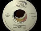 Dwight Twilley Band I’m On Fire Looking For The Magic 45 Promo Jukebox Only