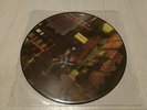 DAVID BOWIE - Ziggy Stardust- Picture VINYL, 12