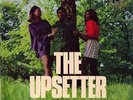 THE UPSETTER LEE PERRY NEW VINYL LP REISSUE IN STOCK TROJAN RECORDS