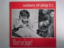 SULTANS OF PING FC WHERE'S ME JUMPER? TURNIP FISH DIVINE ATHY 01T 90'S INDIE