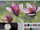 SILVESTRI, KOGAN TCHAIKOVSKY VIOLIN CONCERTO ANGEL AA-7333 Japan RED LP