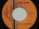 Psych Sunshine Pop THE NEW HARLEQUINS Honey Place EX PACIFIC CHALLENGER 45 MP3