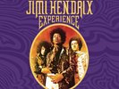 JIMI HENDRIX : The Jimi Hendrix Experience (8-LP Box Set) 8 LP NEU u. OVP