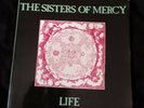 the Sisters of Mercy 
