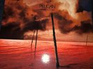 What We All Come to Need by Pelican Vinyl