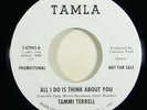 Tammi Terrell/Brenda Holloway 