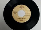 The Starlings 