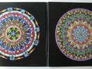 of Montreal - Hissing Fauna, Are You the Destroyer? 2LP 180-Gram Colored Vinyl