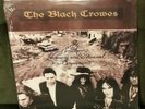 The Black Crowes 