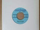 ROLAND ALPHONSO / ROY RICHARDS - REGGAE IN THE GRASS / GET SMART COXSONE CS 7077