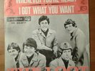 The LOOT - Whenever You're Ready / I Got What You Want FREAKBEAT PALETTE 45 EX