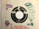 Snotty Scotty & Hankies: Horny w/Rare Sleeve VG+ Synth Punk KBD New Wave *HEAR*