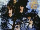 STALK-FORREST GROUP: STALK-FORREST GROUP (LP vinyl *BRAND NEW*.)
