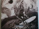 DAVID SYLVIAN Secrets Of The Beehive - Original UK LP - Ryuichi Sakamoto JAPAN