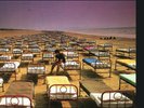 Pink Floyd ?– A Momentary Lapse Of Reason (180g Vinyl, LP, US Re, Gatefold)
