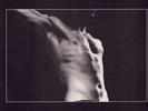 Rollins Band - Hard Volume LP (World Service SERV 010) UK 1989  NEAR MINT
