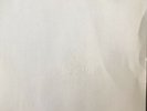 the beatles white album 2xLP Vinyl Reissue Numbered NL
