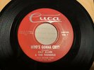 Ray Allen & The Trendels - Who’s Gonna Cry? 45 Cuca - Wisconsin Garage Rock