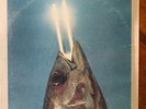 REO SPEEDWAGON YOU CAN TUNE A PIANO, BUT YOU CAN'T TUNA FISH ORIG VINYL LP RARE