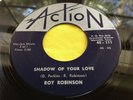 Rare Country 45 : Roy Robinson   Shadow Of Your Love   Johnny Lee   Action 111