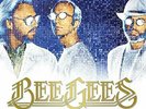 Bee Gees - Timeless - the All-Time Greatest Hits - Double LP - New