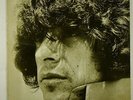 Dino Valente 