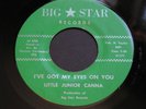 Little Junior Canna ( Cannaday)   I've Got My Eyes On You   Big Star blues 45