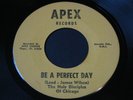 Holy Disciples of Chicago   Be a Perfect Day   Apex   black gospel soul 45 HEAR