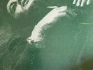The Smiths - The Queen Is Dead LP  - 1986 MINT LP   Sire 125426   PROMO NM VINYL
